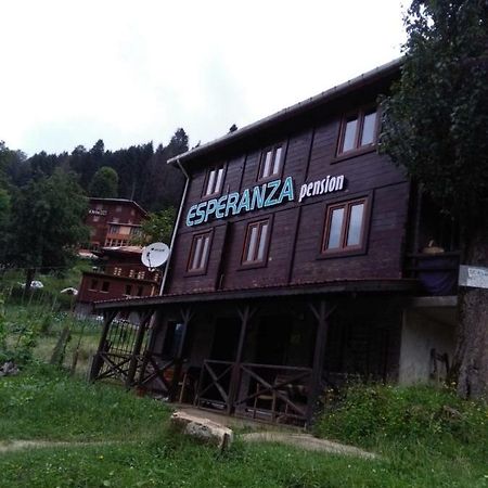 Esperanza Apart & Pension Guest House Ayder Yaylası Eksteriør bilde